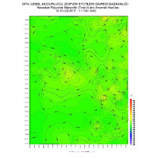 H 30 paftası 1/100.000 ölçekli Havadan Rejyonal Manyetik Haritası