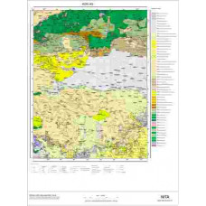 I 49 Paftası 1/100.000 ölçekli Jeoloji Haritası