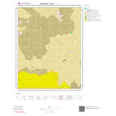 J 46-c4 Paftası 1/25.000 ölçekli Jeoloji Haritası